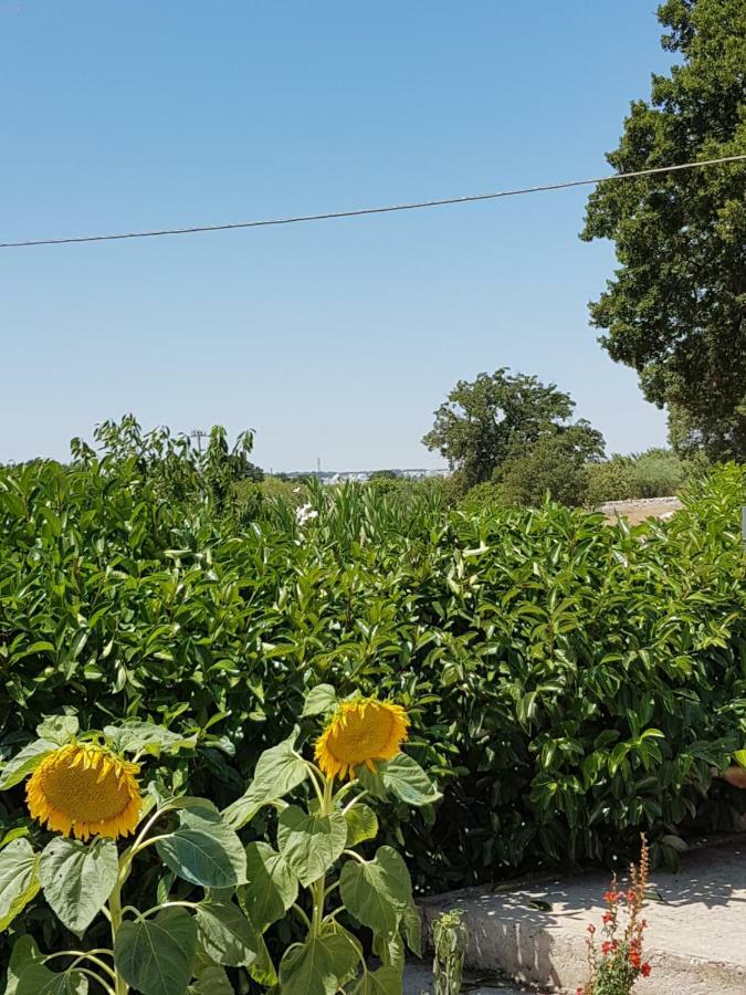 Holiday home Trulli Della Masseria Staffone *